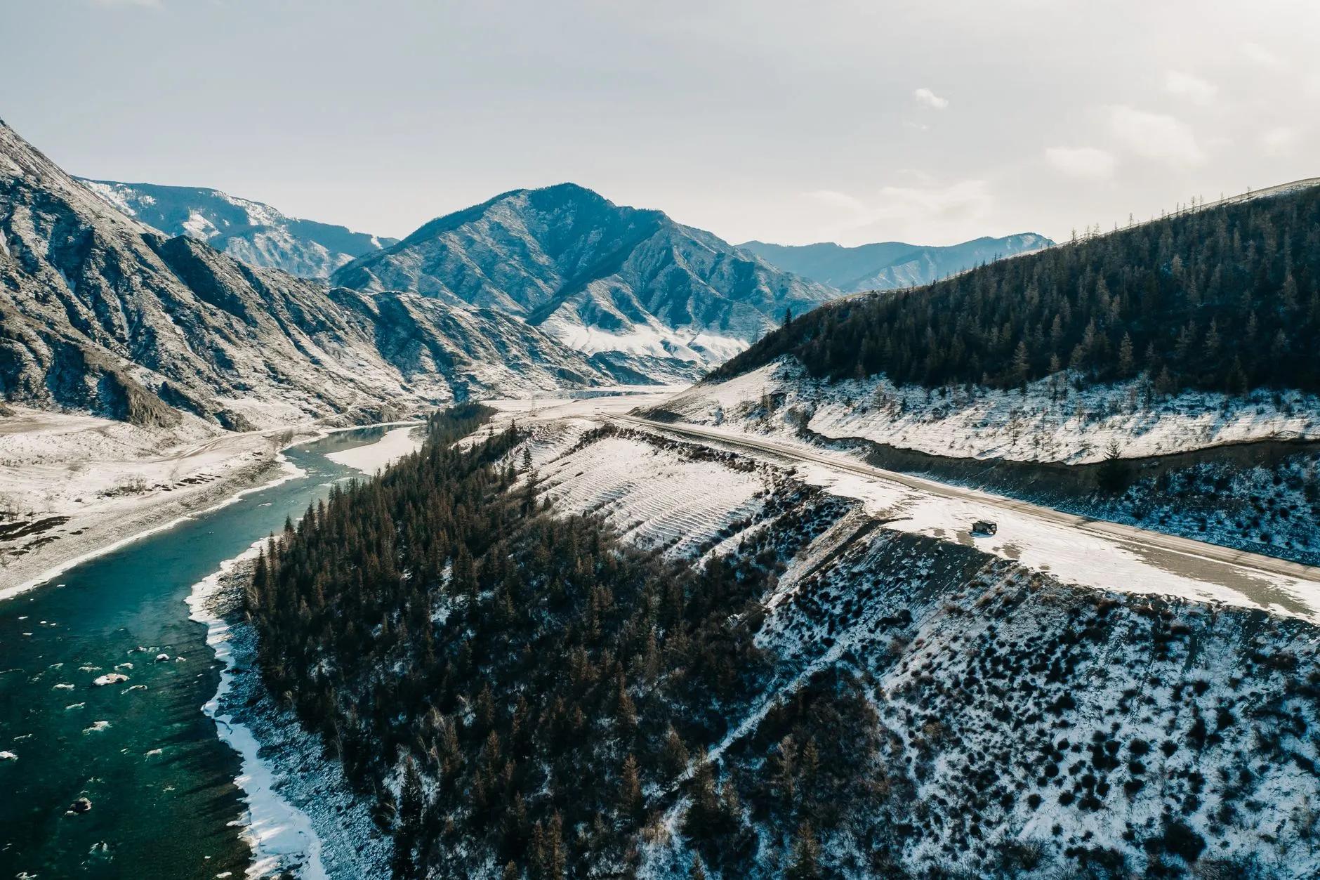 Altay