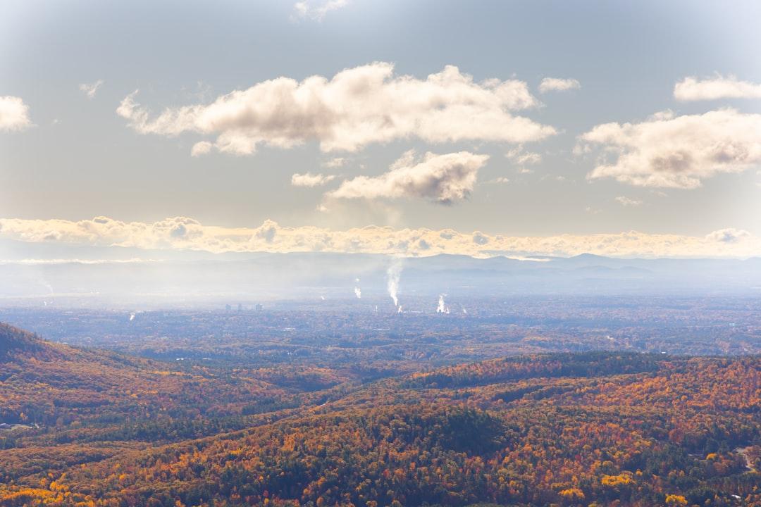 Woodlands