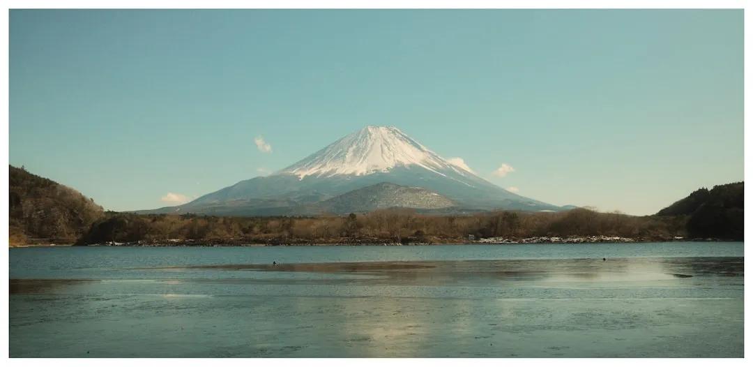 Japonya