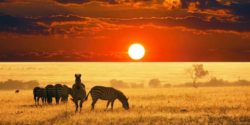 Flex Güney Afrika & Safari Türk Havayolları ile 5 Gece 6 Gün CPT - JNB